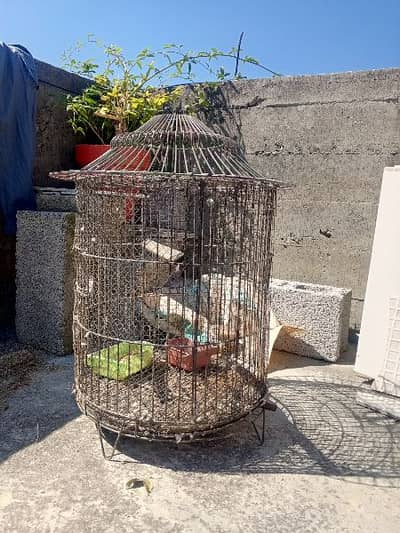 cage for sale