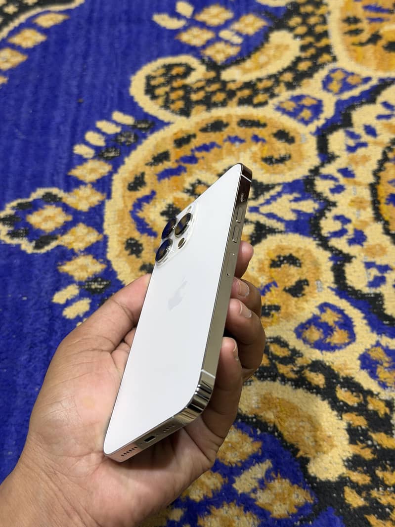 Apple iPhone 13 Pro Max 0
