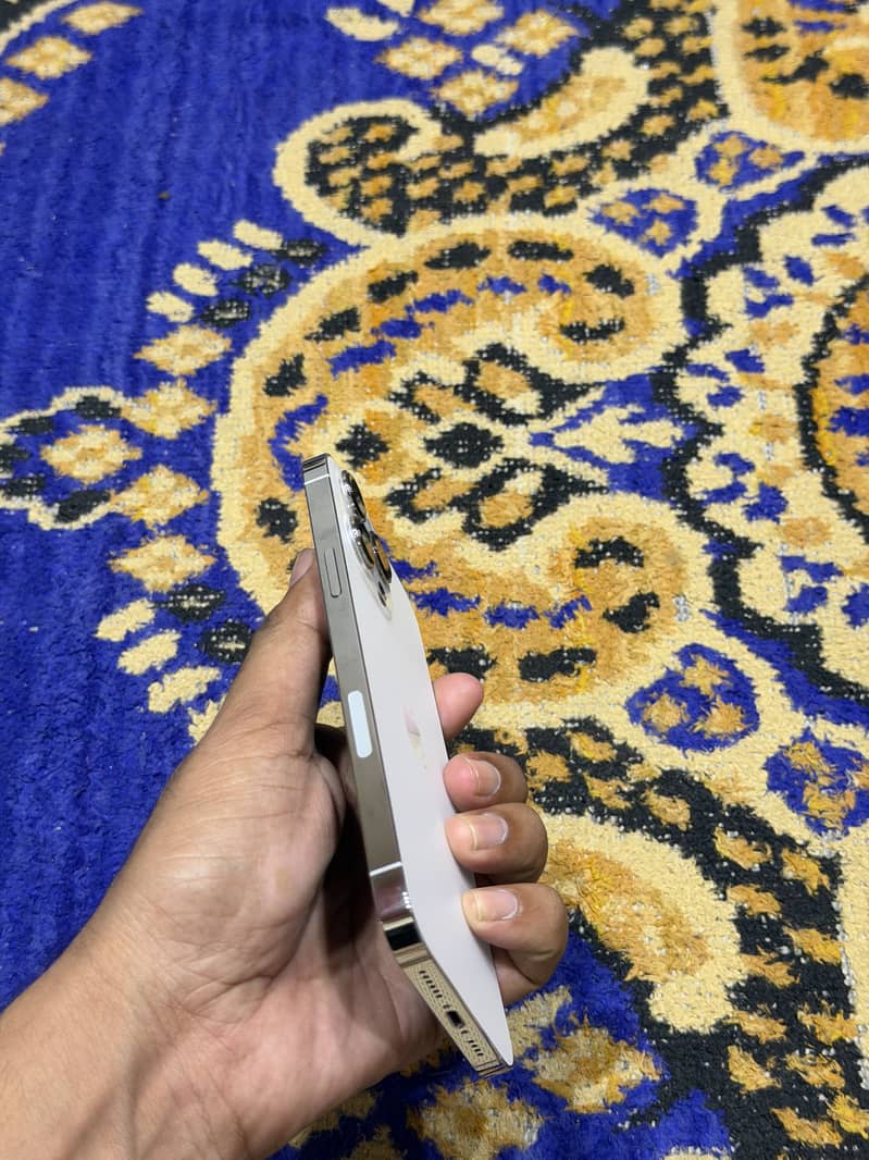 Apple iPhone 13 Pro Max 2