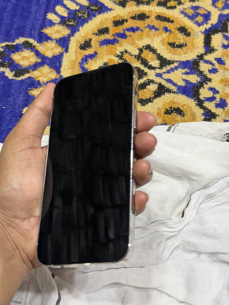 Apple iPhone 13 Pro Max 10