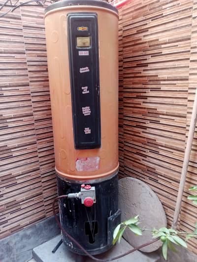 geyser for sale