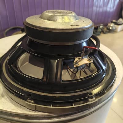 Rockford fosegate 10 inch Subwoofer 1 ohm