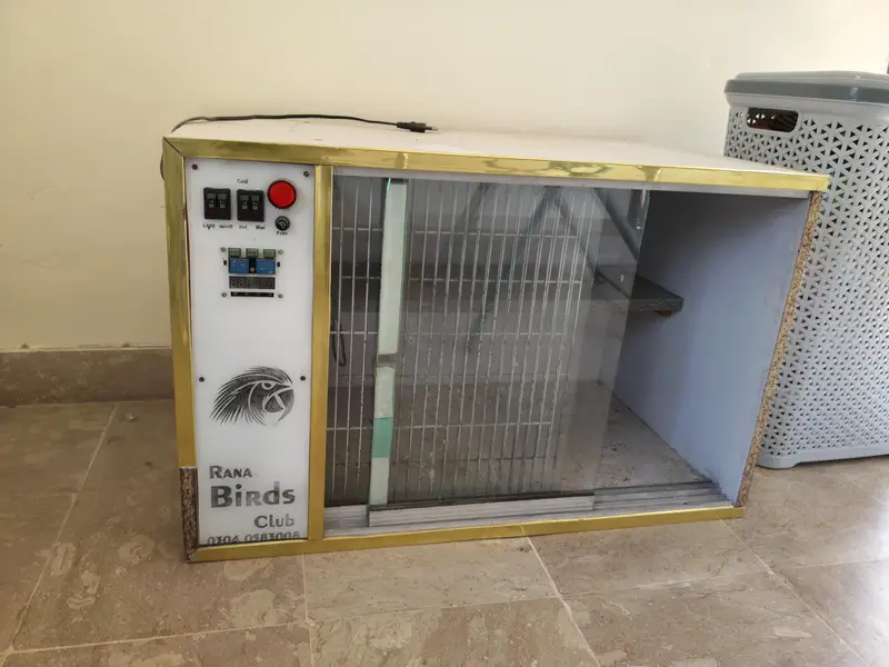 Lush condition brooder available All okay working Mai hai koi fault na