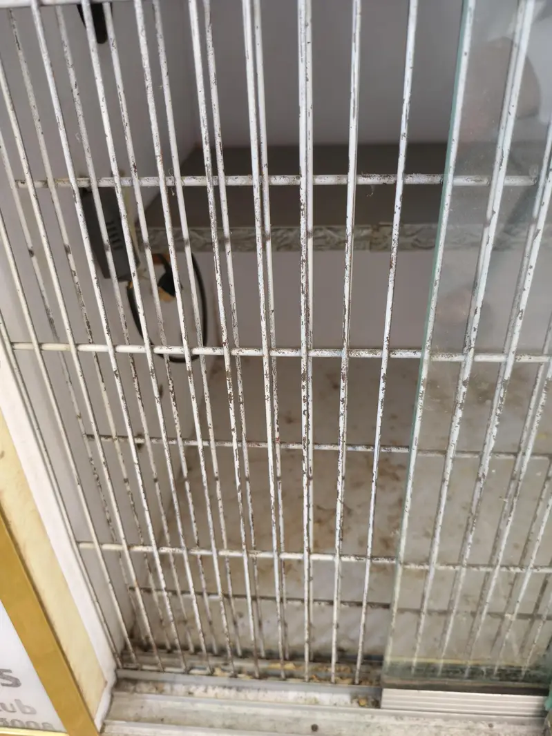 Lush condition brooder available All okay working Mai hai koi fault na — photo 4
