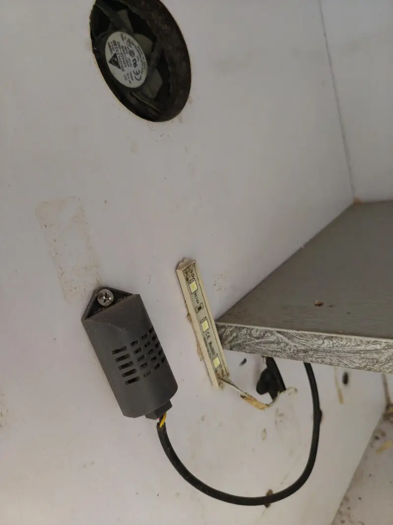 Lush condition brooder available All okay working Mai hai koi fault na — photo 5