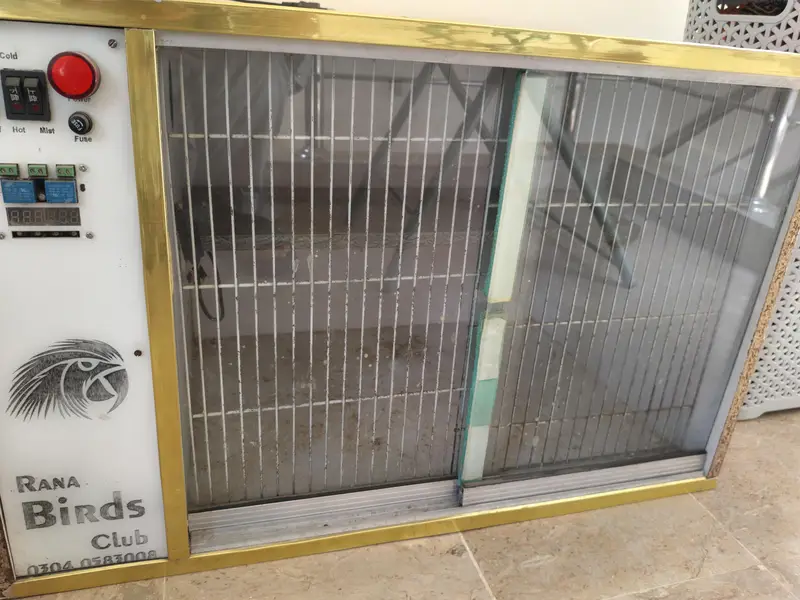 Lush condition brooder available All okay working Mai hai koi fault na — photo 6