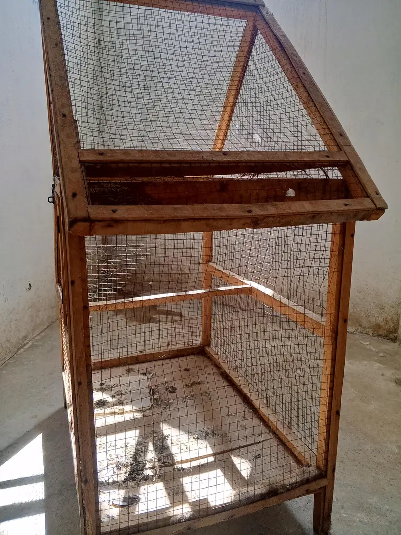 parrot cage — photo 2