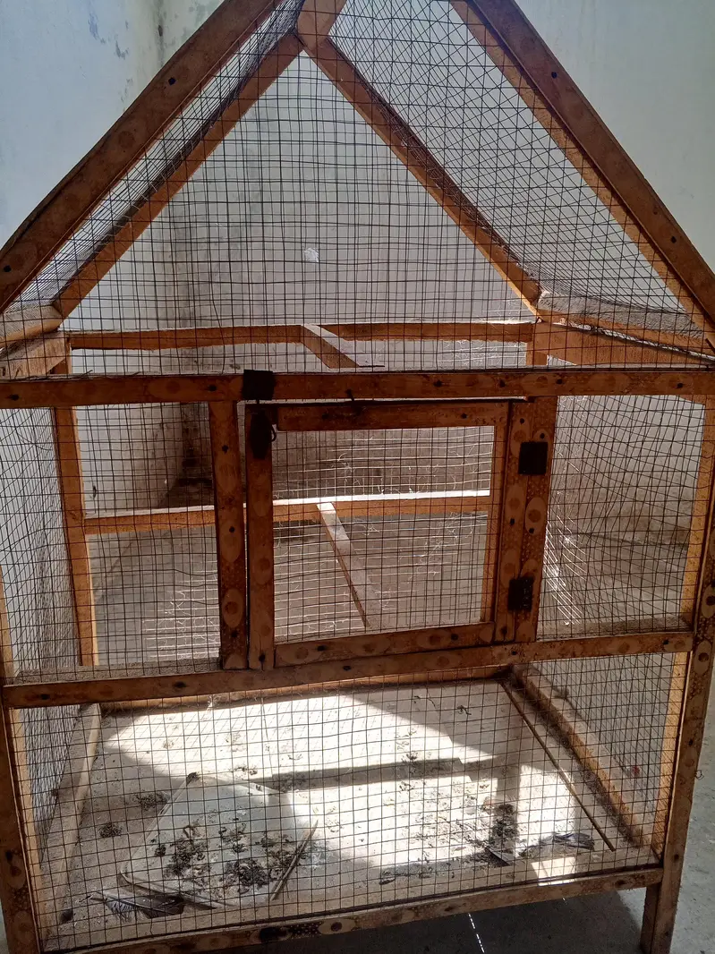 parrot cage — photo 5