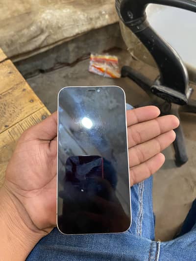 Apple iPhone 12