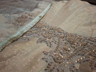 Fancy Gorgeous Lehnga