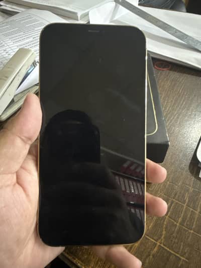 Apple iPhone 12 Pro Max