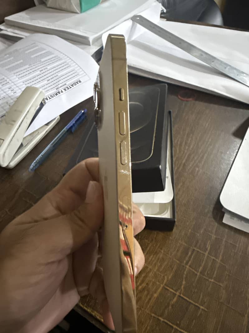 Apple iPhone 12 Pro Max 1