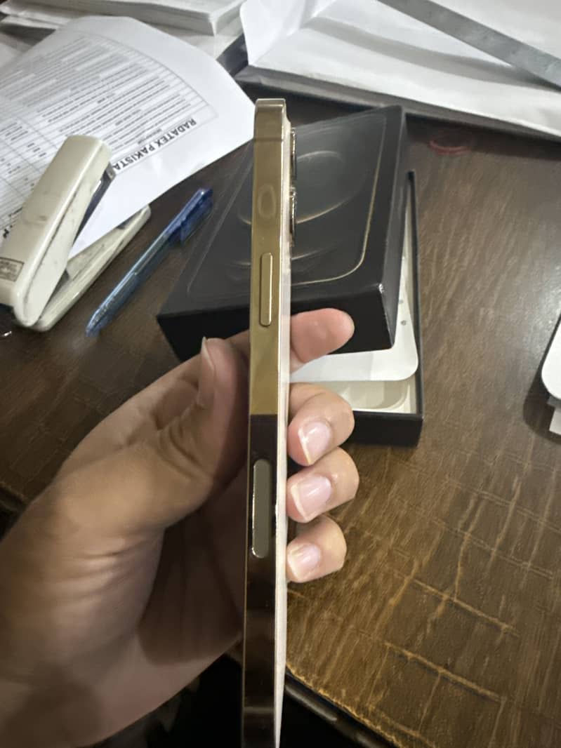 Apple iPhone 12 Pro Max 3