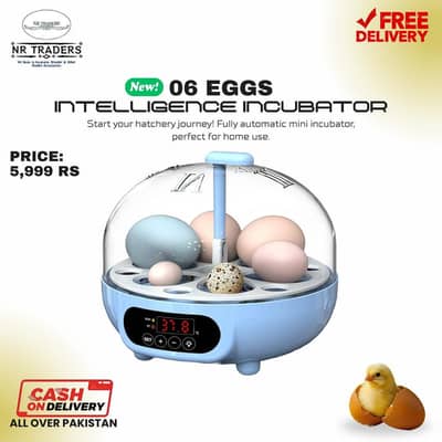 Imported Eggs Hatching Machine Incubator Automatic Incubators