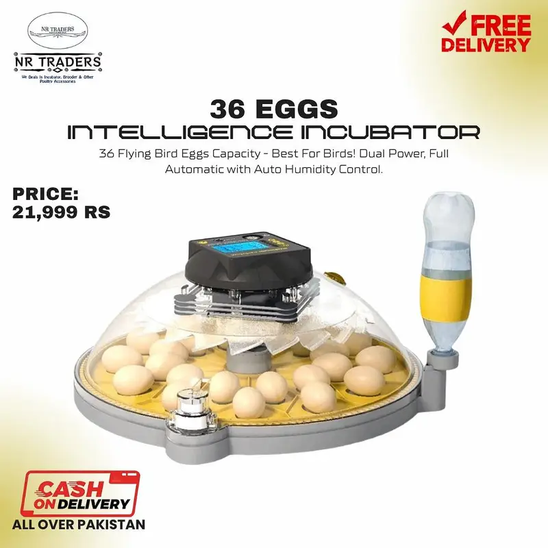 Imported Eggs Hatching Machine Incubator Automatic Incubators — photo 7