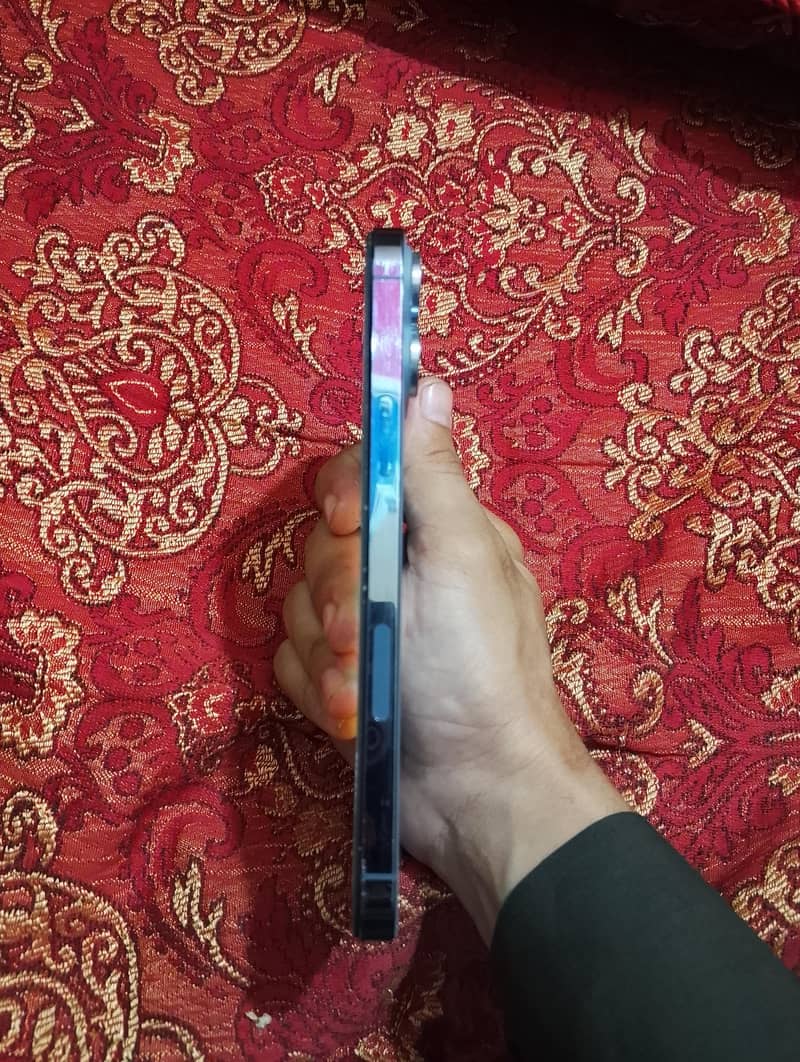 Apple iPhone 13 Pro Max 1