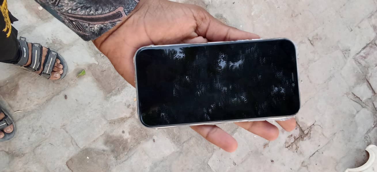 Apple iPhone 11 3