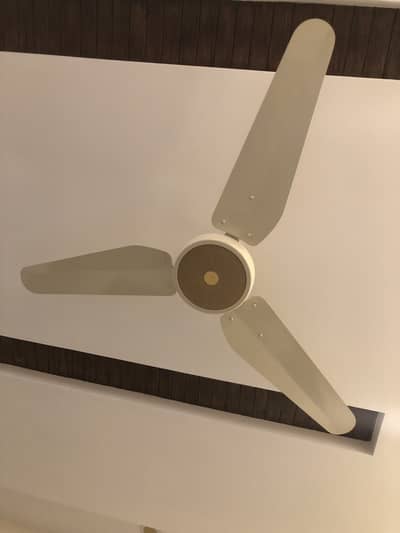 Lahore fan