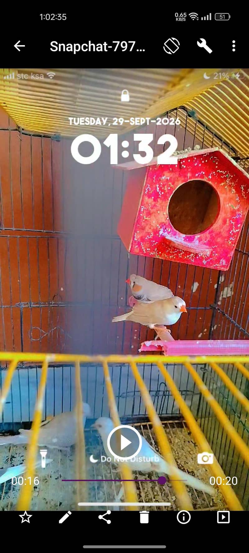 finch 1