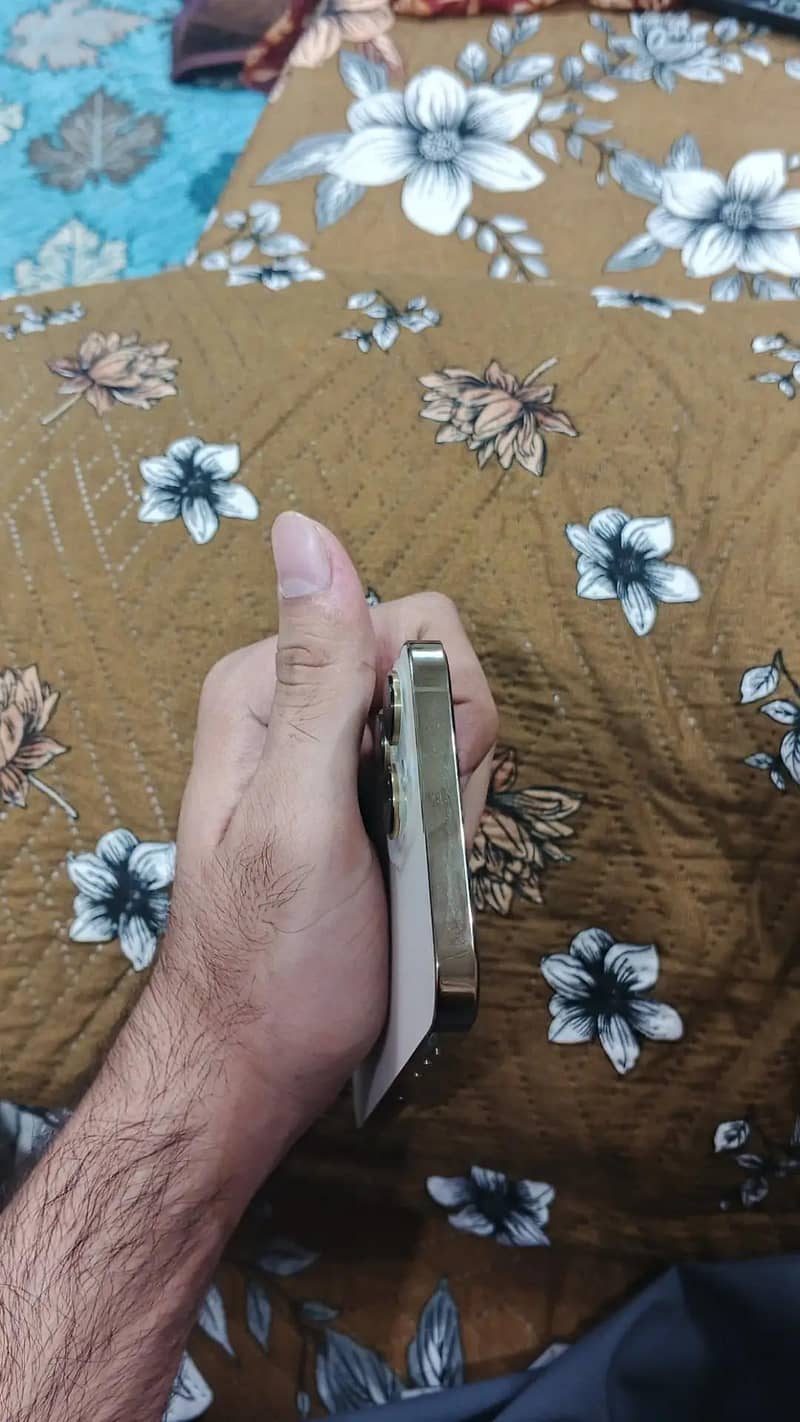Apple iPhone 13 Pro Max 2