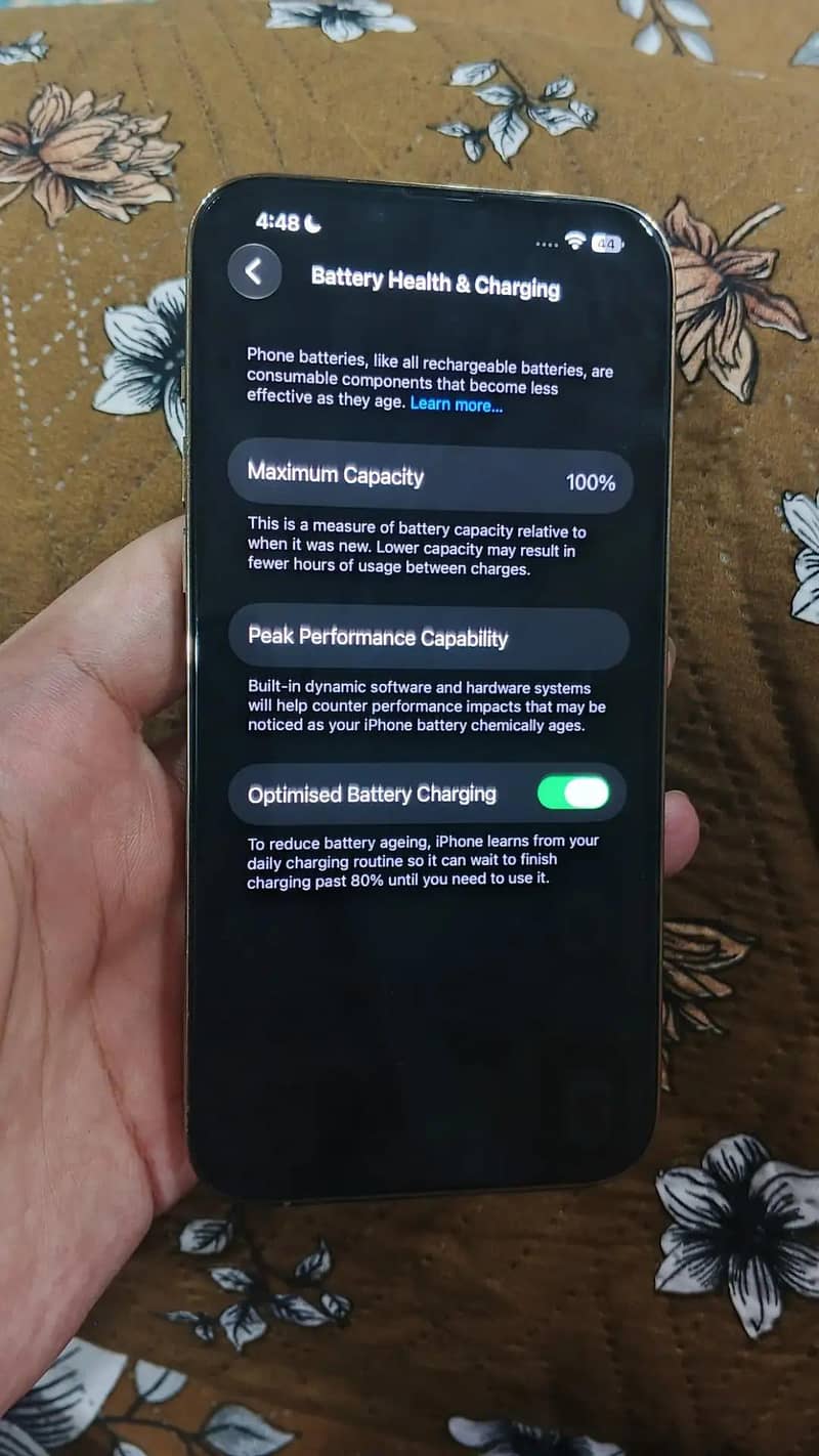 Apple iPhone 13 Pro Max 3