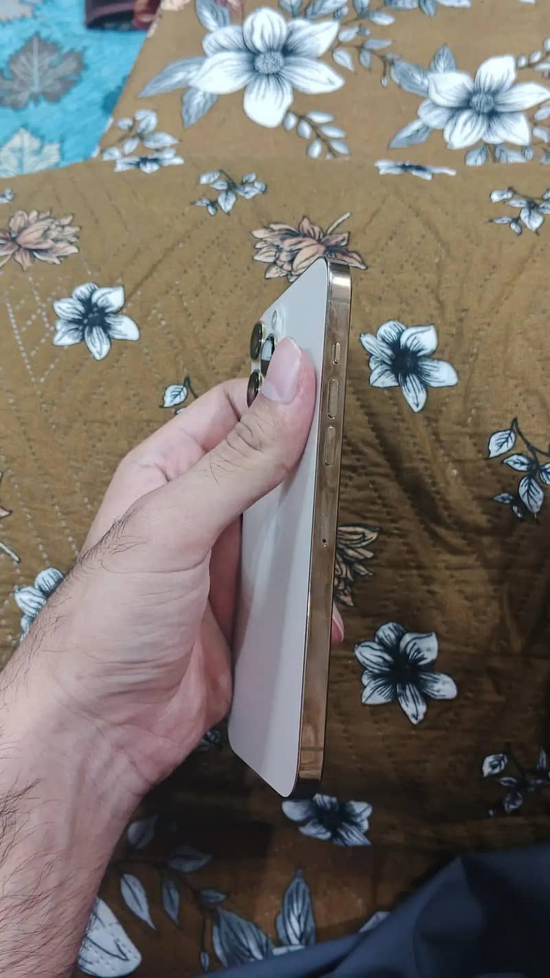 Apple iPhone 13 Pro Max 4