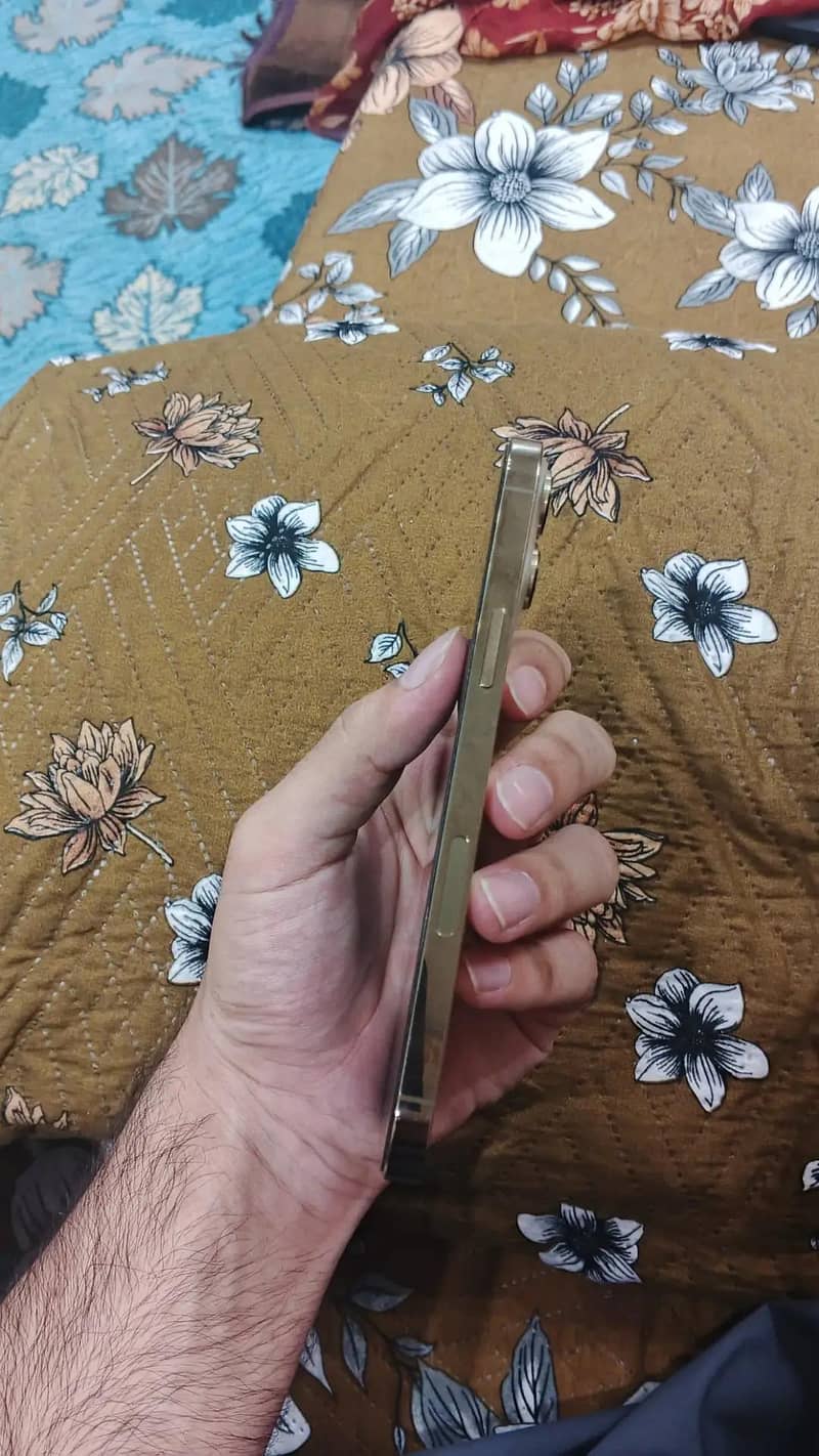 Apple iPhone 13 Pro Max 6