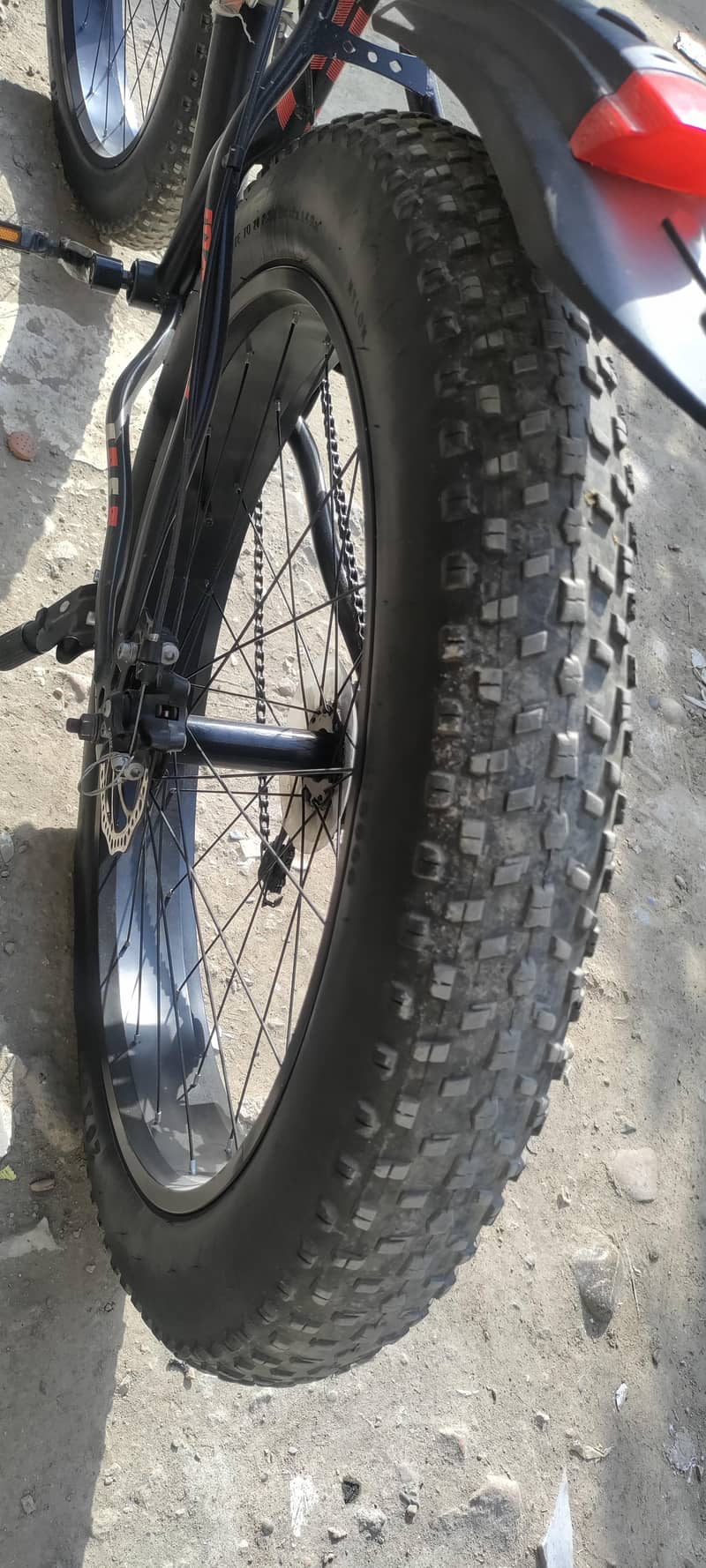 fat cycle 1