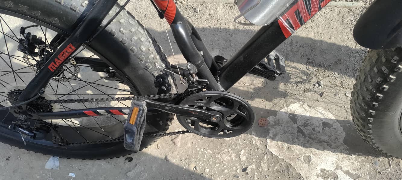 fat cycle 2