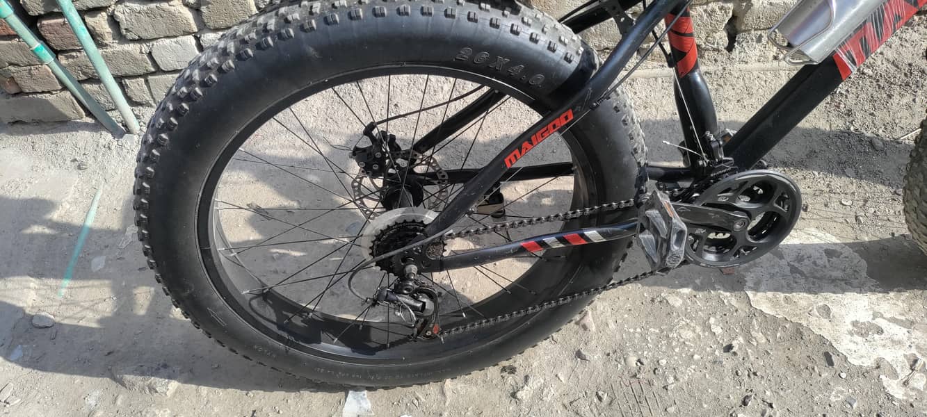 fat cycle 3