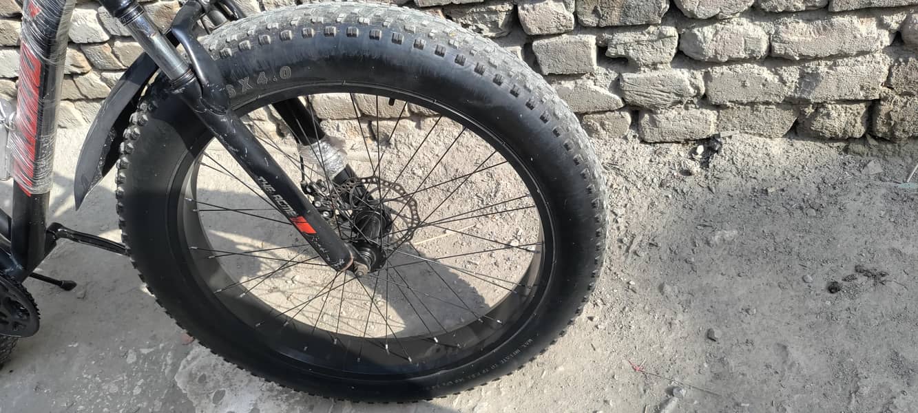 fat cycle 5