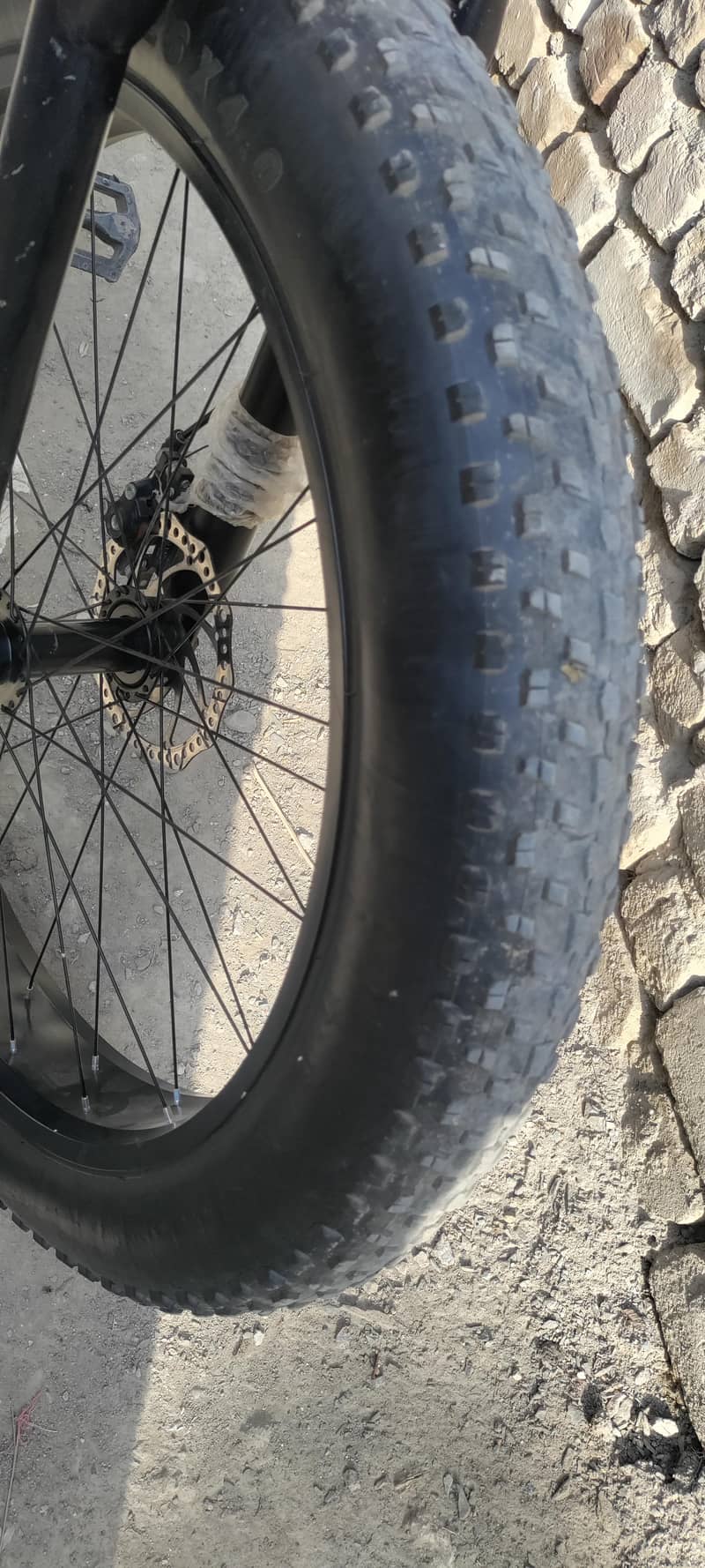 fat cycle 6