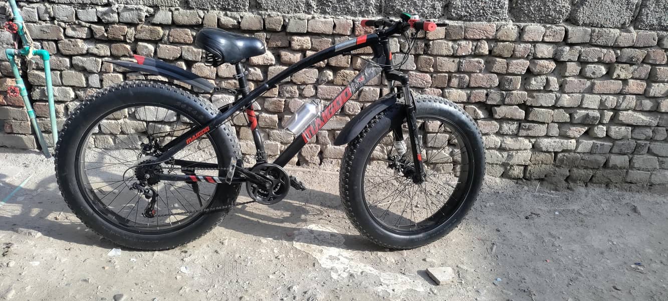 fat cycle 8