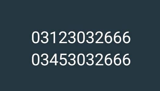 Premium VIP Golden Numbers Pair For Sale (Last 666)