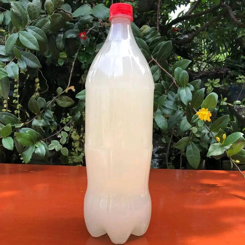 dishwasher liquid 1