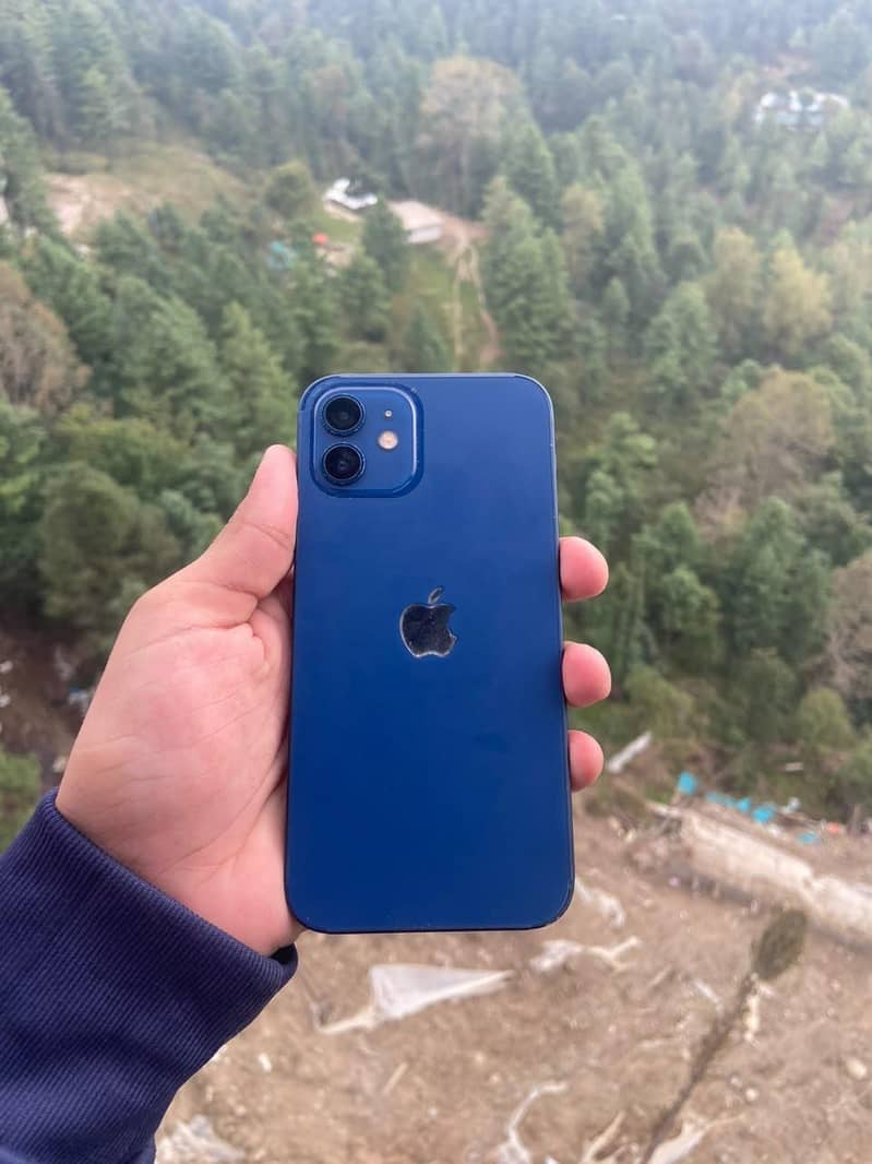 Apple iPhone 12 1