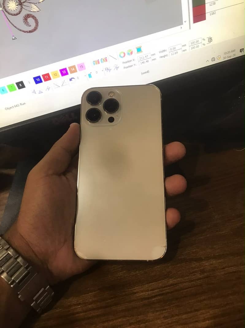 Apple iPhone 13 Pro Max 1
