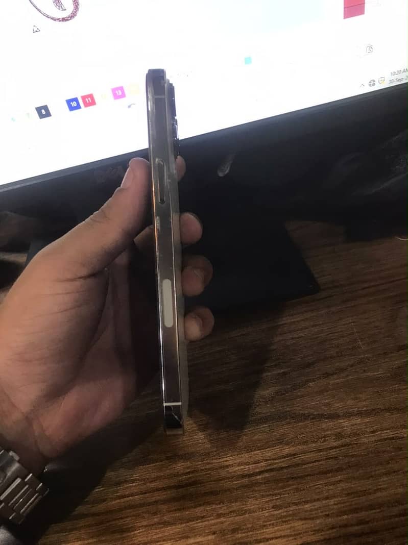 Apple iPhone 13 Pro Max 2