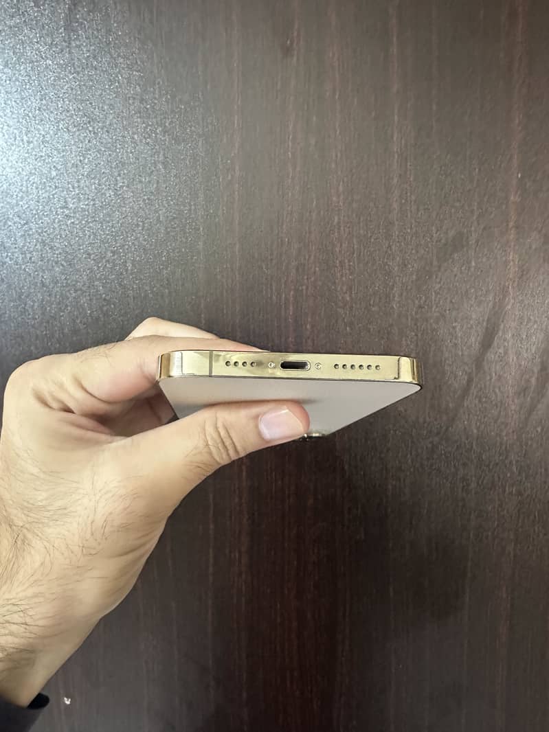 Apple iPhone 13 Pro Max 2