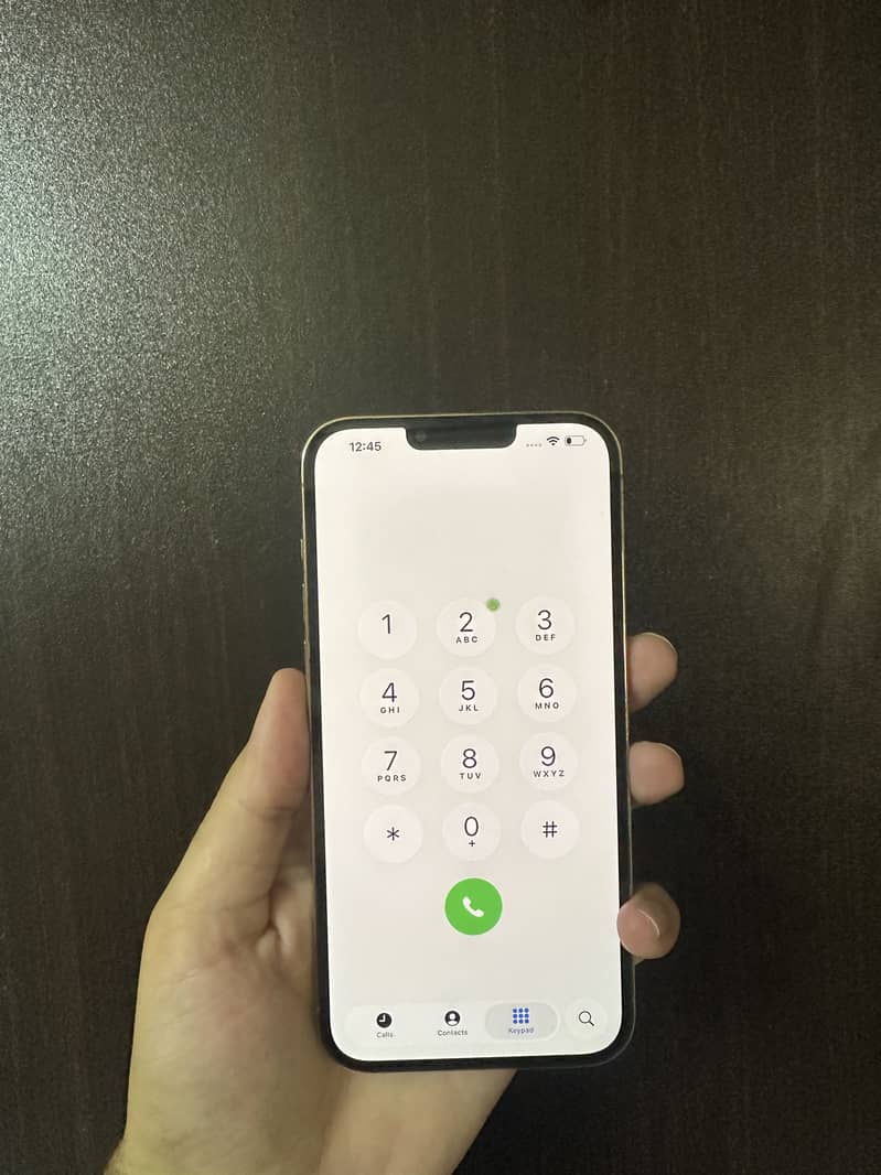 Apple iPhone 13 Pro Max 4