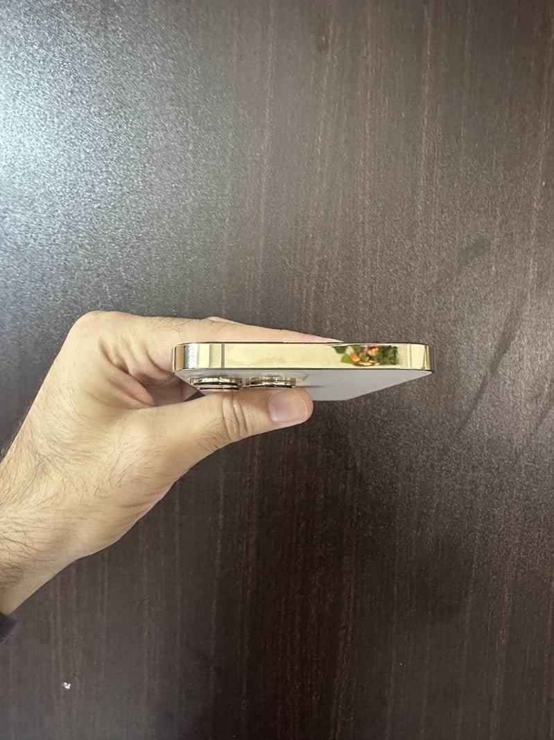 Apple iPhone 13 Pro Max 5