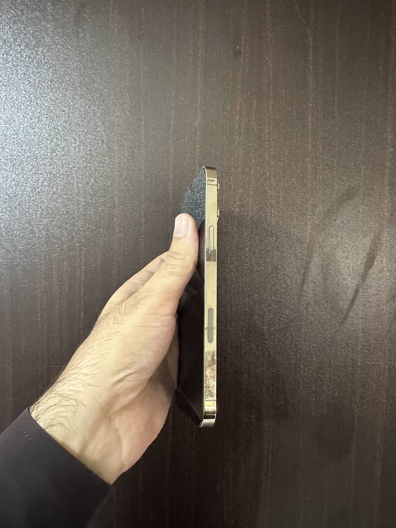 Apple iPhone 13 Pro Max 6