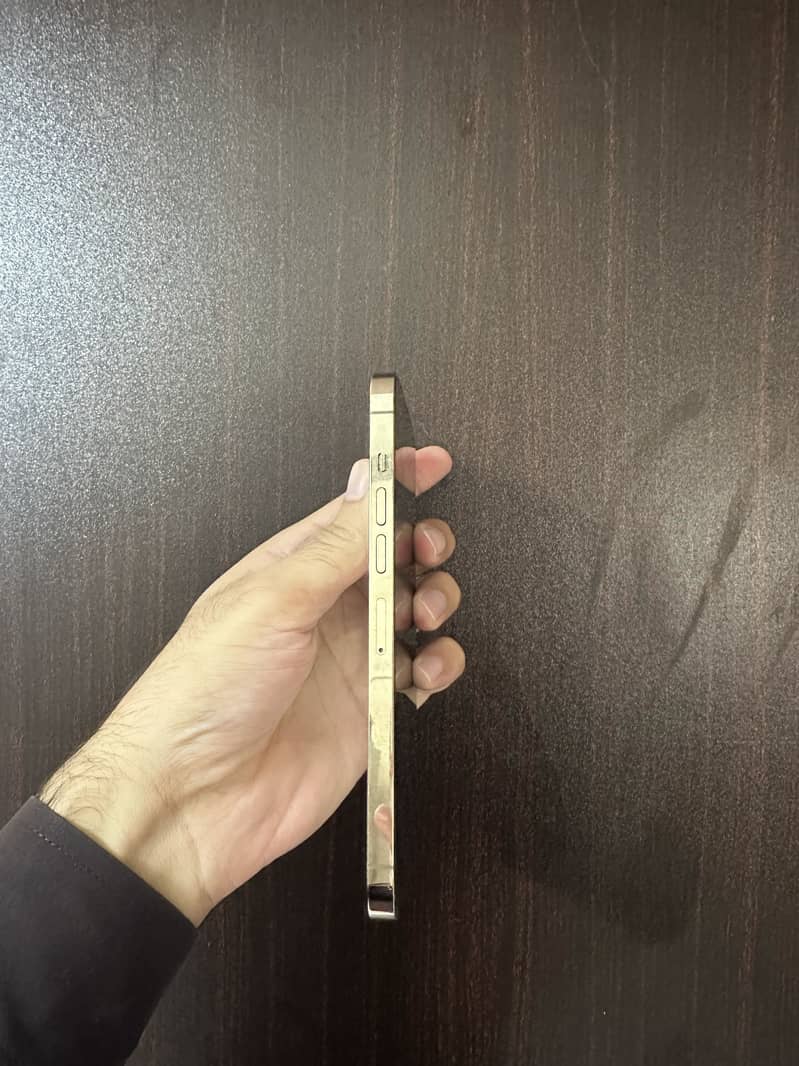 Apple iPhone 13 Pro Max 7