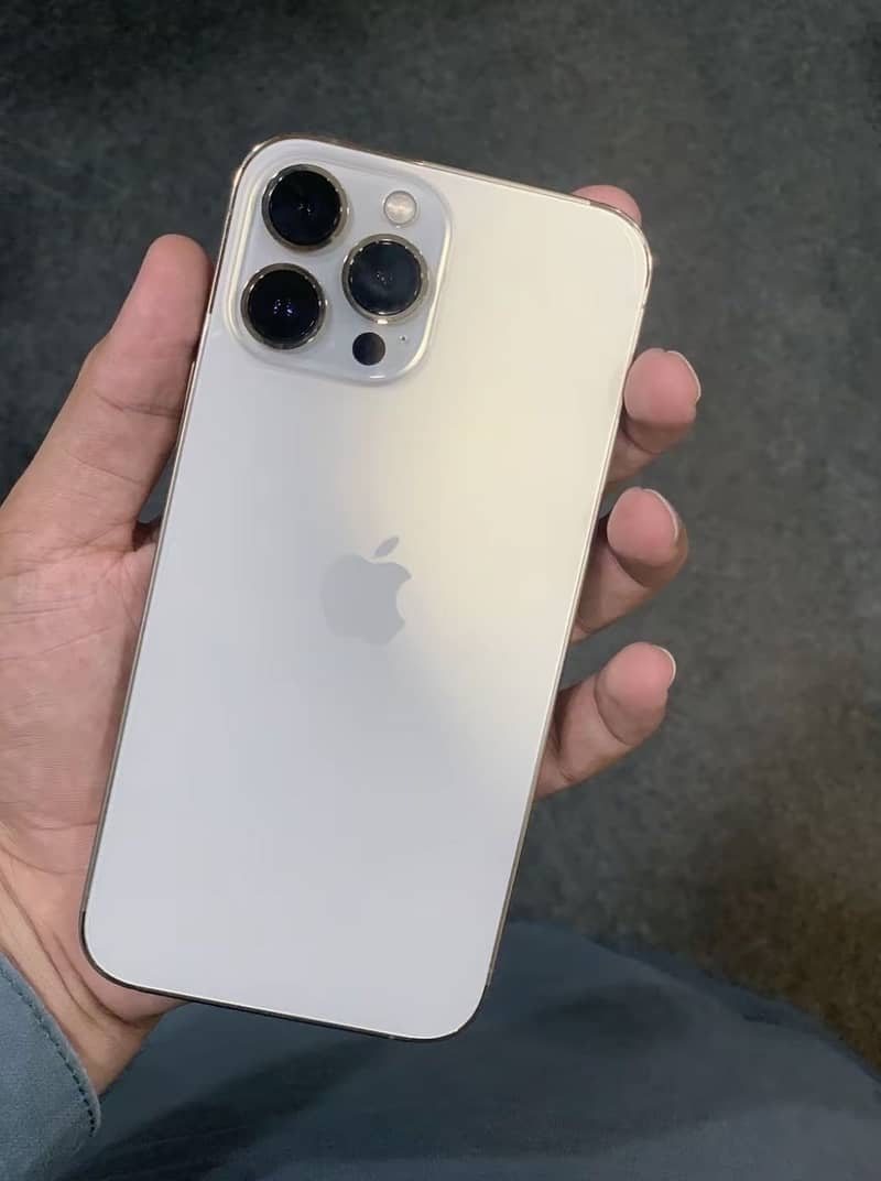 iPhone 13 Pro Max 1