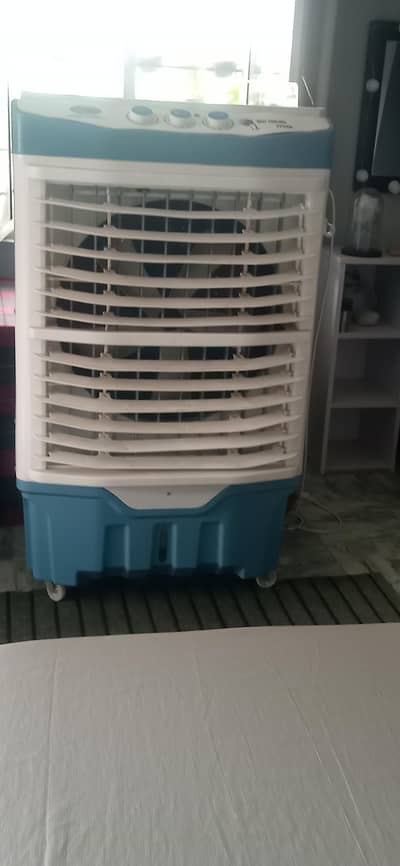 white and blue colour