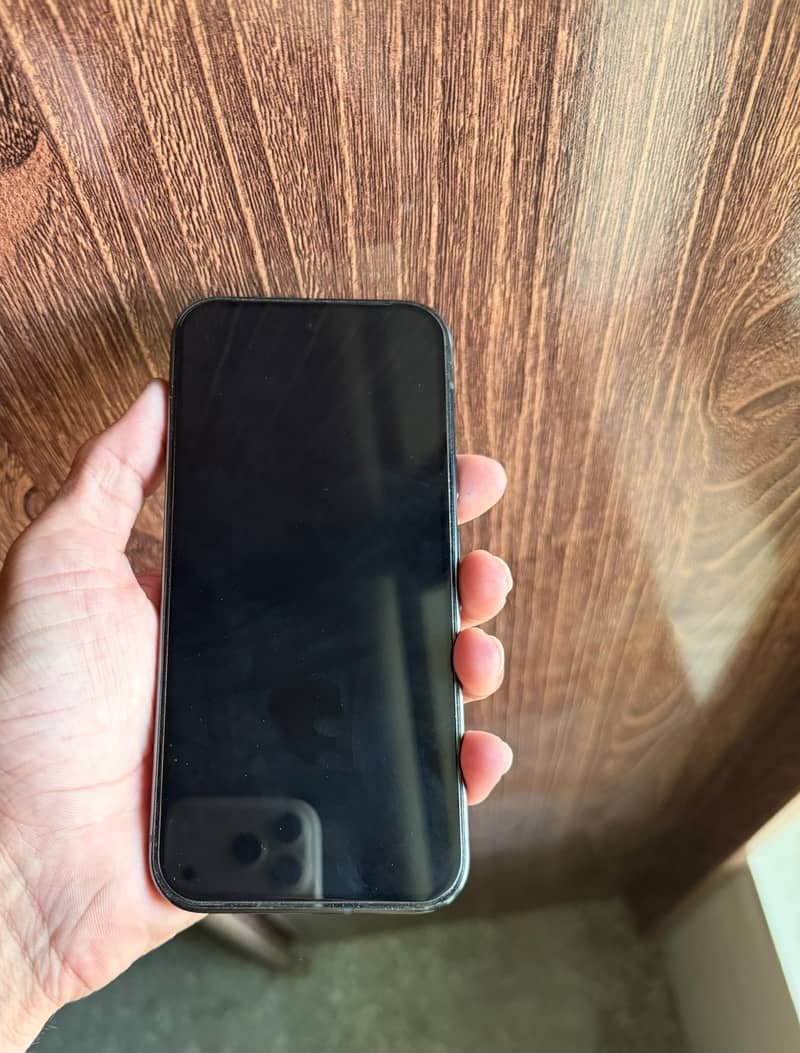 Google Pixel 9 Pro 1