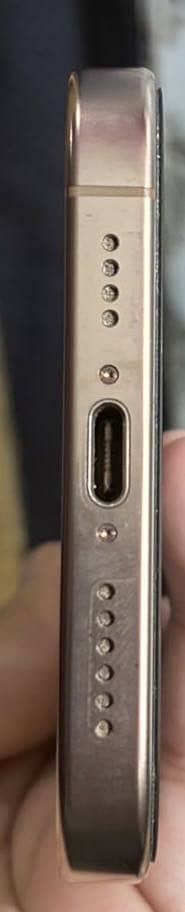 Apple iPhone 16 Pro Max 1