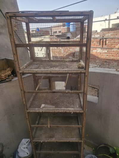 Birds cage 4 portion