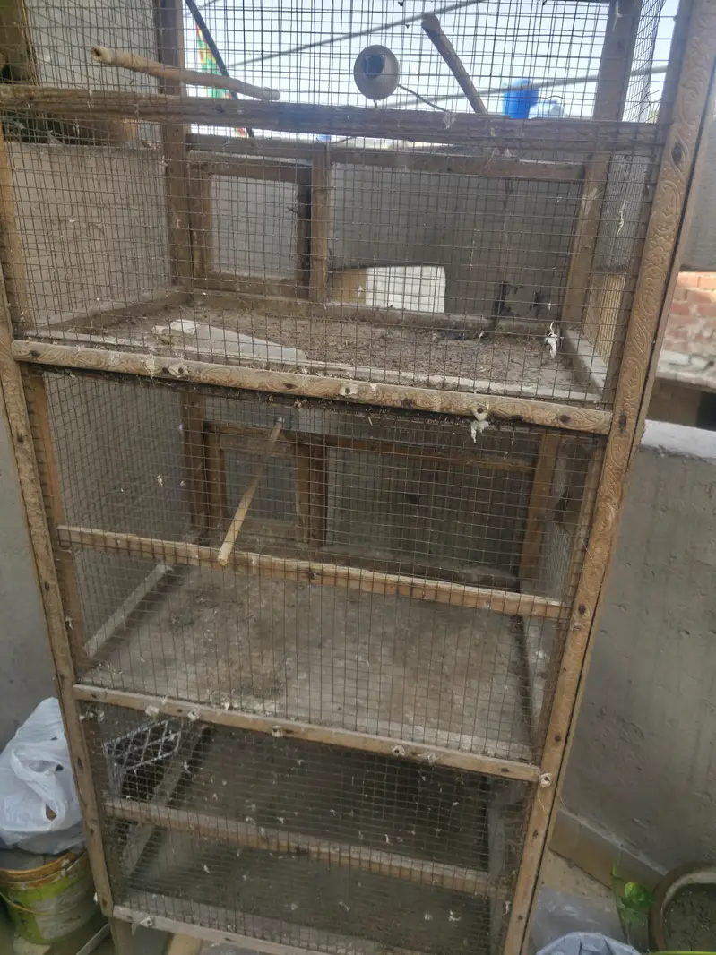 Birds cage 4 portion — photo 2