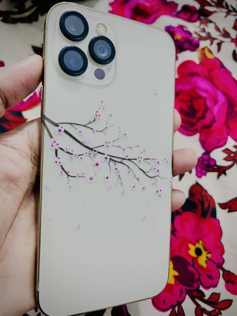 Apple iPhone 12 Pro Max 2
